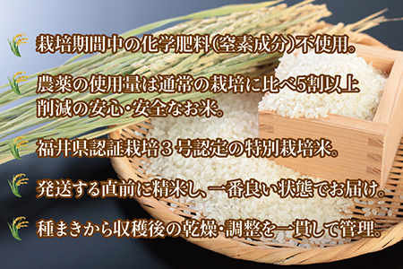 〈新米〉減農薬米 こしひかり 6kg ／令和5年福井県産 （玄米）