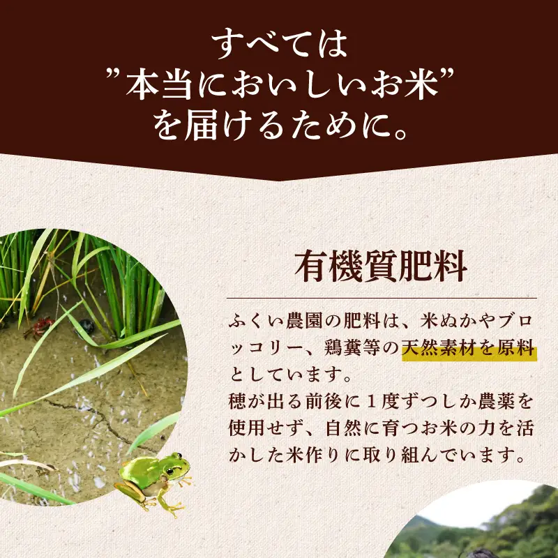 令和8年産 よさ恋美人 10kg 白米