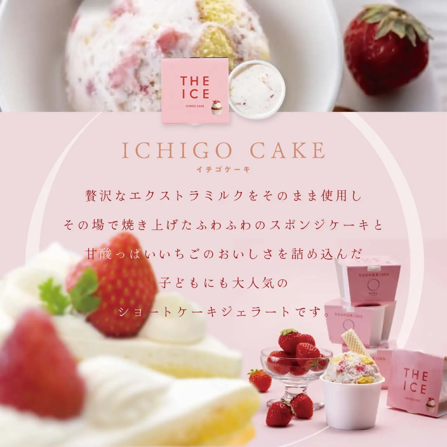 THE ICE いちごケーキ12個 高島屋選定品 【TK0000067】（ あいす アイス アイスクリーム いちご イチゴ 苺 北海道 別海町 人気 ふるさと納税 ）