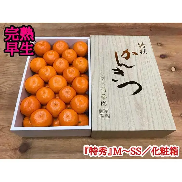 定期便 有田みかん 食べくらべ 3種 化粧箱 各約 3kg 南泰園 全3回 2026年 10月 発送開始 みかん
