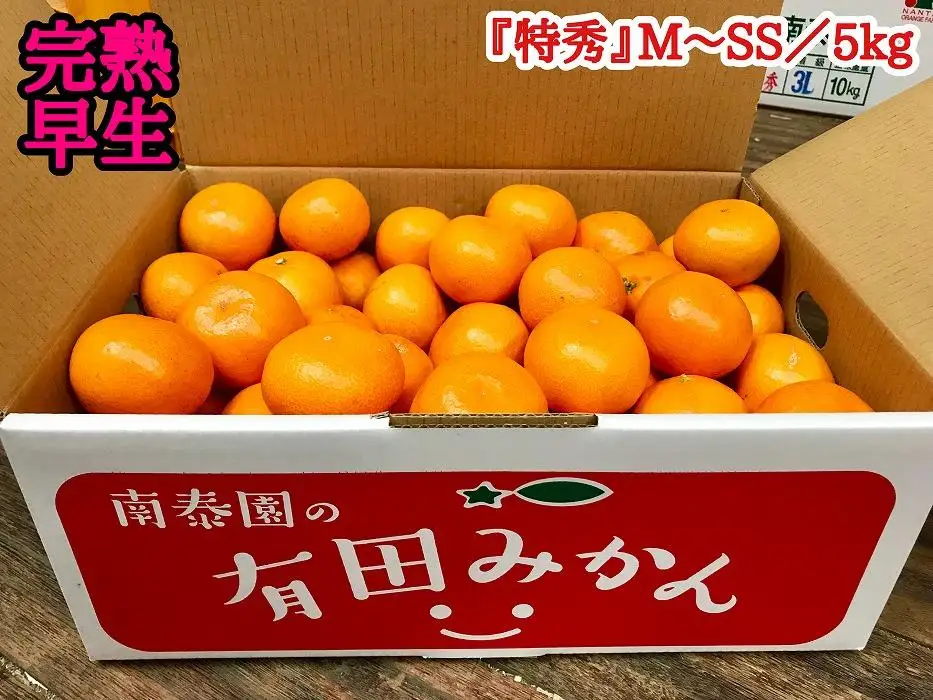 定期便 有田みかん 食べくらべ 3種 特秀 各 5kg コース 全3回 南泰園 みかん