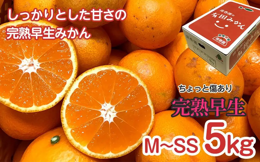 定期便 ちょっと 傷あり 5kg ×3 回 コース 有田みかん 食べくらべ 3種 全3回 南泰園 みかん