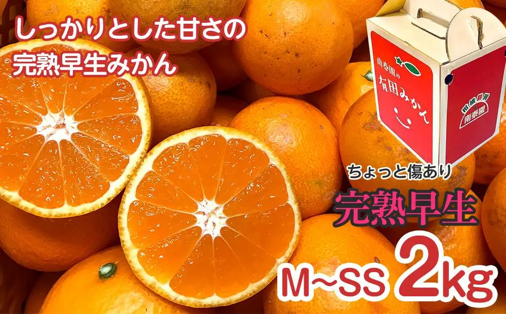 定期便 ちょっと 傷あり 2kg × 3回 コース 有田みかん 食べくらべ 3種 全3回 南泰園 みかん