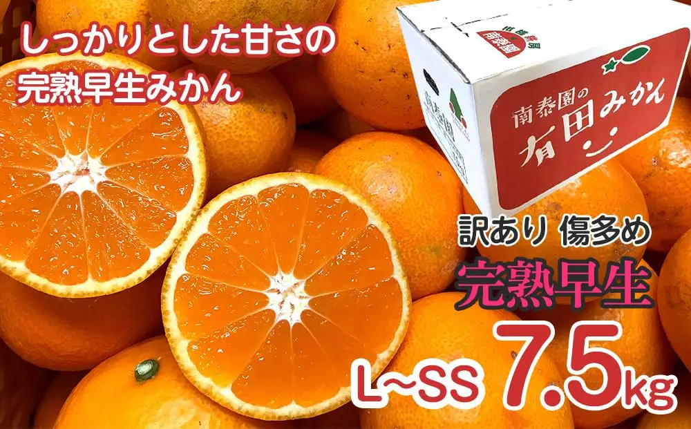 定期便 訳あり 傷多め 7.5kg × 3回 コース 有田みかん 食べくらべ 3種 全3回 南泰園 みかん