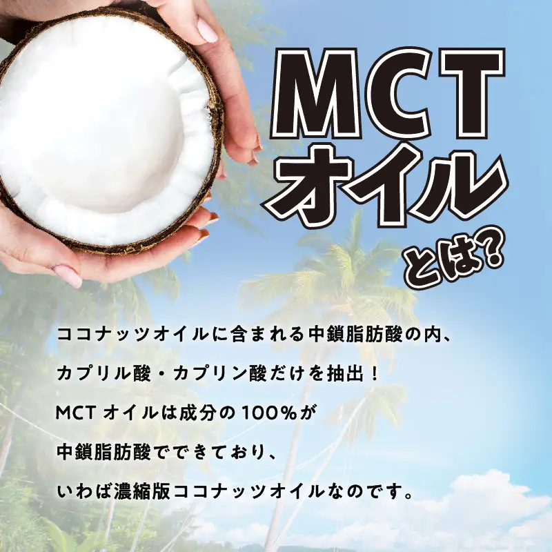 MCT 食べる オイル（ PETボトル タイプ ） 290g × 2本 K198-002 調味料