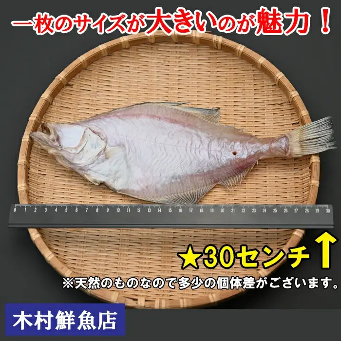 境港産一夜干しかれい（16枚）【一夜干し いちやぼし かれい カレイ エテカレイ 干物 干もの ひもの 乾物 境港 ご当地 ギフト プレゼント ご自宅用 鳥取 日吉津村】