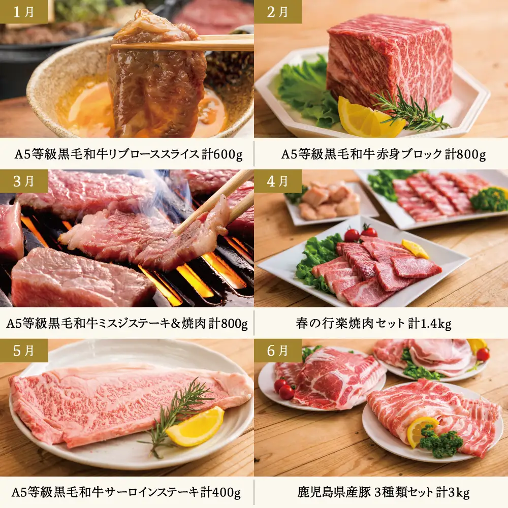 【定期便 全12回】情熱牧場 鹿児島県産お肉の定期便 プレミアムコース お肉 ステーキ すき焼き しゃぶしゃぶ A5等級 ブランド 黒毛和牛 牛肉 豚肉 焼肉 定期便 冷凍