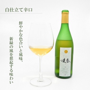 DG025_皮ごと食べられる味香みかん使用の味香ワイン（赤仕立て辛口・白仕立て辛口）７２０ｍｌ×各１本（計２本）