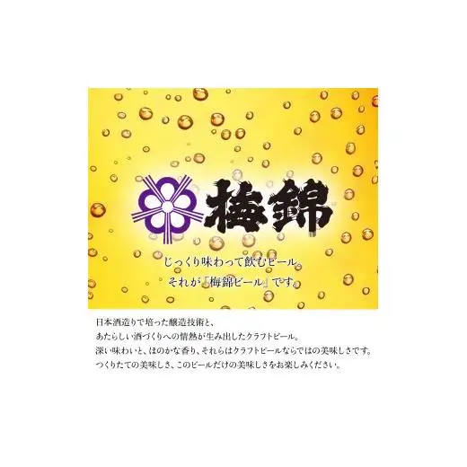 梅錦 ビール6本詰め合わせ（定番ビール5種と季節の限定ビール1種）