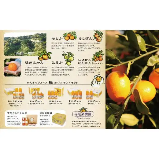 柑橘ジュース「極っ」すけざセット
