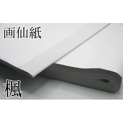 画仙紙練習用！