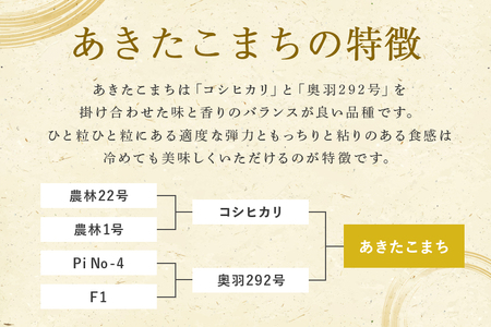あきたこまち 5kg 米 白米 茨城県産 もっちり お弁当 おにぎり 47-G
