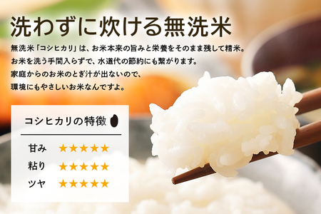 無洗米 コシヒカリ 10kg こしひかり 米 白米 茨城県産 お弁当 おにぎり エコ 47-K