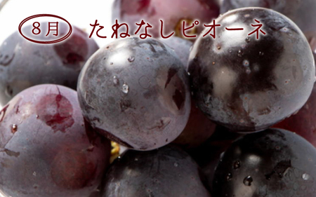 定期便【全3回/7・8・9月】【数量限定】和歌山産フルーツ定期便！人気の桃とぶどう三昧　桃 ピオーネ シャインマスカット【tkb152】