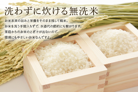 無洗米 食べ比べ コシヒカリ＆あきたこまち 各5kg こしひかり 米 白米 茨城県産 お弁当 おにぎり エコ 47-P