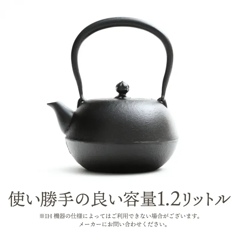 南部鉄器 鉄瓶 寒梅美肌鉄瓶 ～BIHADA～ 1.2L IH調理器 伝統工芸品 やかん ケトル キッチン用品 食器 日用品 雑貨 [BE002]