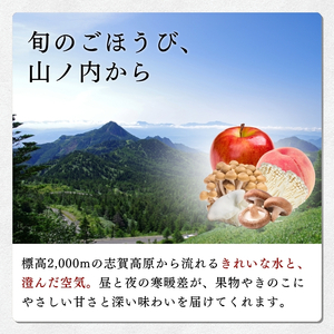 きのこ 志賀高原 セット きのこ
