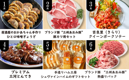 碧南市がチョイスした厳選定期便！ 【全12回】厳選！お肉づくめの定期便(毎月お届け） 　H028-091