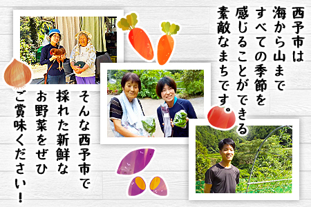 新鮮野菜の詰め合わせ NHH0001