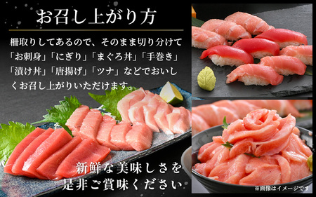定期便 ≪4カ月連続お届け≫ おすすめ！まぐろの王様！生本まぐろ 食べ比べ 定期便 計4回 【 大とろ  中トロ 赤身 刺身 冷蔵 お取り寄せ グルメ】  [e04-c017]