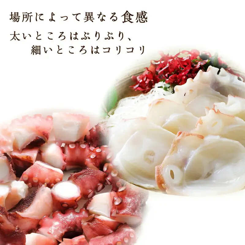 北海道産 やわらか煮たこ足（約600g）2本セット＜菊地水産＞_Y020-0429