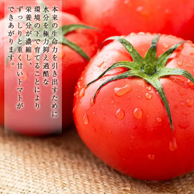 こだわりトマトジュース ～凜花～ ＜吉川農園＞_Y020-0298