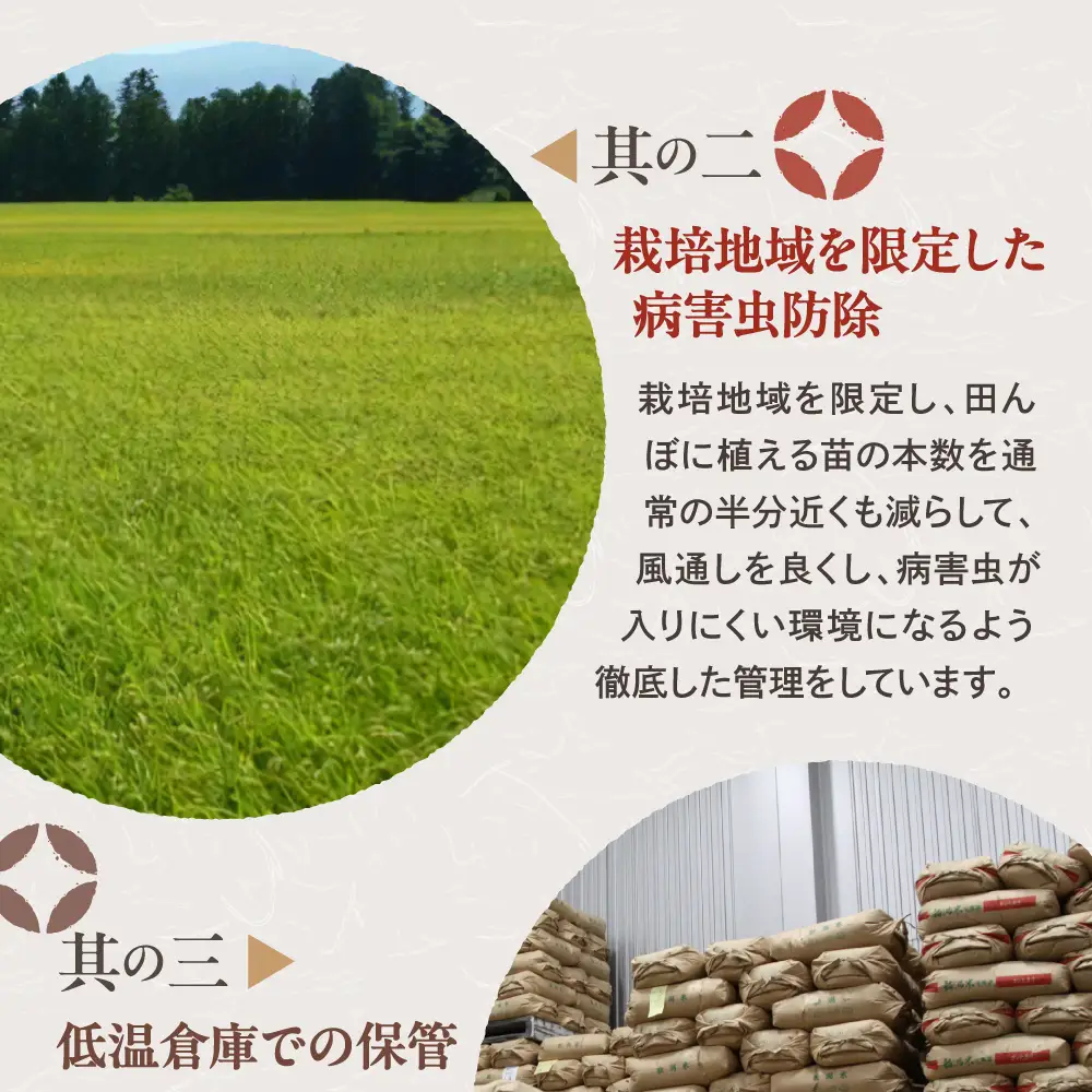 【2026年11月中旬より発送】【定期便】令和8年産新潟県妙高産斐太の里コシヒカリ「旬」5kg×6回（計30kg）