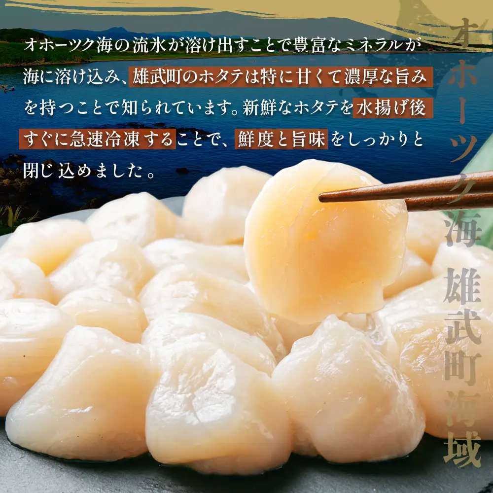 北海道雄武町産ホタテ貝柱２ｋｇ訳アリ小分けAフレーク（500g×４）【1235303】