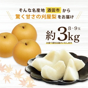 SA2934　和梨 「刈屋梨」　約3kg(8～9玉入)　品種おまかせ(幸水、豊水、南水、あきづき) 