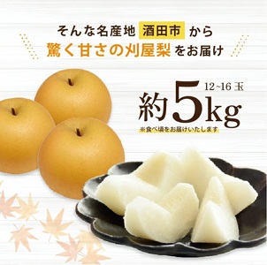 SA2935　和梨 「刈屋梨」　約5kg(12～16玉入)　品種おまかせ(幸水、豊水、南水、あきづき)