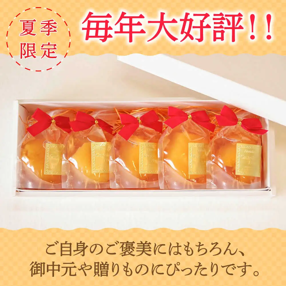 【2026年5月上旬-発送】【夏季限定】茂木びわ ゼリー 5個入 / びわ ビワ ゼリー フルーツ 果物 ギフト 贈答 お中元 / 南島原市 / 本田屋かすてら本舗 [SAW039]