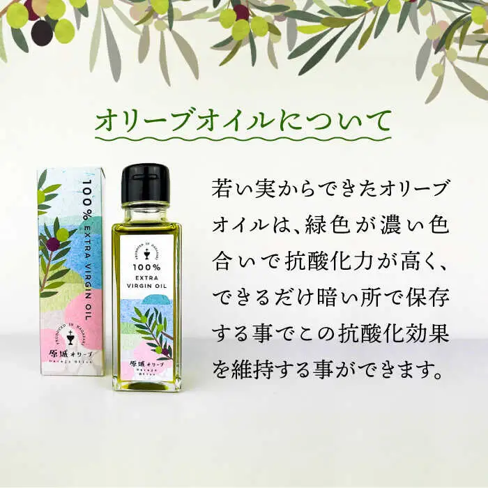 【3回定期便】 原城 オリーブ エクストラ・ヴァージンオイル  100ml 3本 / オリーブオイル オイル 油 調味料 / 南島原市 / ミナサポ [SCW057]