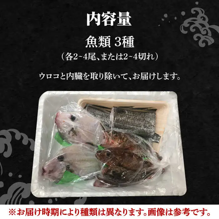 朝どれ 鮮魚 詰め合わせ 3種（2-3人前） 下処理 あり / アジ アラカブ タイ カワハギ など  魚 新鮮 セット 冷蔵 産地直送 下処理済み / 南島原市 / 美吉屋 [SDW003]