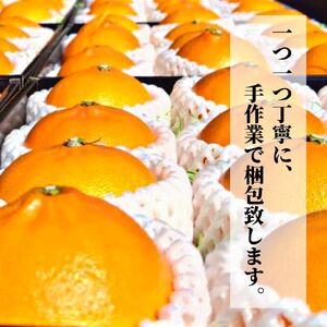 【2027年2月頃から順次発送】プレミアム＜せとか＞ 化粧箱入 愛媛 松山 ギフト 贈答 プレゼント みかん 蜜柑 柑橘 果物 くだもの フルーツ お取り寄せ グルメ 期間限定 数量限定 人気 おすすめ 愛媛県 松山市【PT031_x】