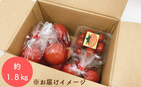 【2027年1月以降配送】熊野薬草園のトマトMIX（1.8kg） 【kmys0003A】