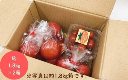 【2027年1月以降配送】熊野薬草園のトマトMIX（1.8kg×2箱）【kmys0004A】