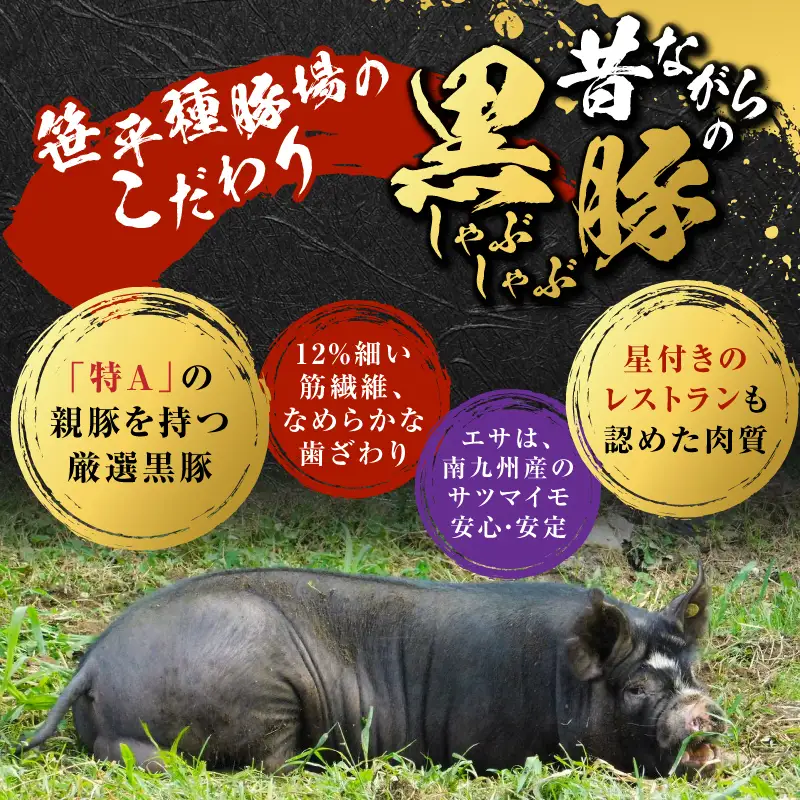 昔ながらの 黒豚しゃぶしゃぶ セット ＜ バラ 、 ロース 、 肩ロース ＞ 3～4人前 K125-003 豚 豚肉