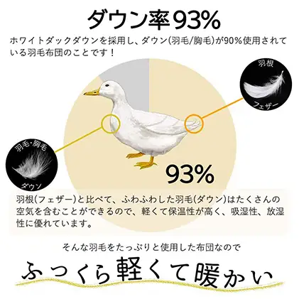 羽毛布団 掛け布団 シングル 立体キルト ネイビー花柄 羽毛布団【ダウン93% 1.2kg】