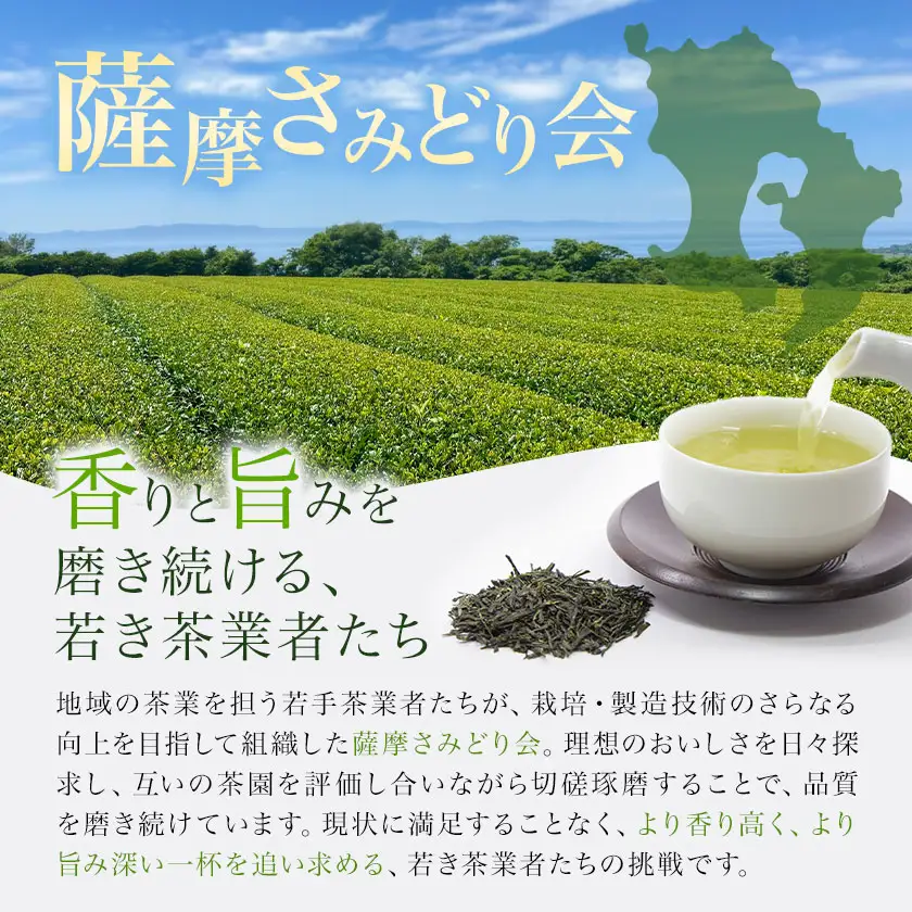薩摩さみどり 煎茶 計240g 80g×3袋 薩摩さみどり会《5月末-11月末頃出荷》