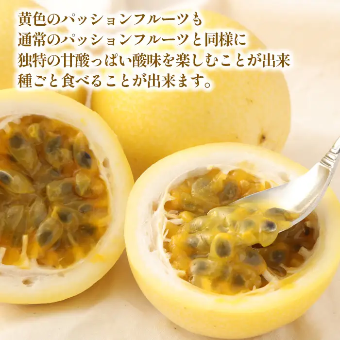 【2027年発送】先行受付 徳之島 天城町産 【贈答用】イエローパッションフルーツ 約1kg 吉川果樹園  パッションフルーツ イエロー フルーツ 果物 AB-35-N