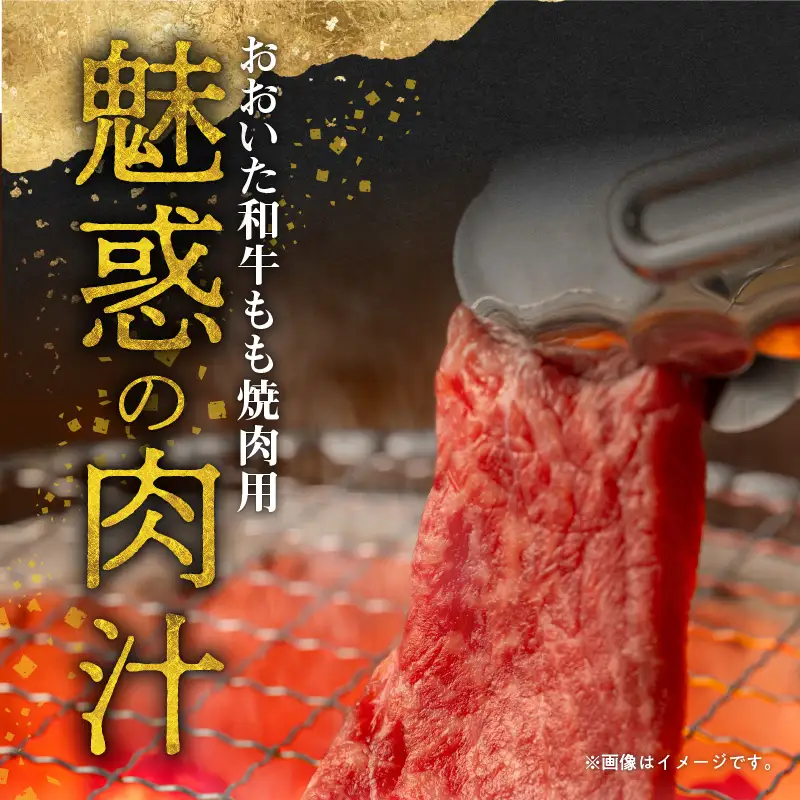 【お中元ギフト】 おおいた和牛もも焼肉用 約600g ≪7/1～8/9の期間に発送≫ A01121-S