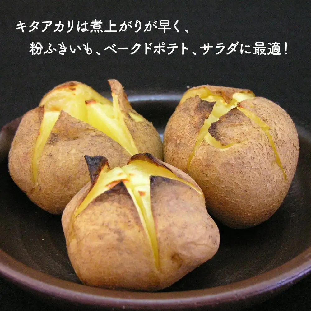 【2026年先行予約】北海道産じゃがいも（北あかり）5kg（10月中旬発送開始）| じゃがいも _00416