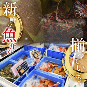 海鮮ちらし寿司 お食事券(1人前) 海鮮丼 ちらし寿司 海鮮 ランチ レストラン チケット 海の直売所 大分県 佐伯市【AS137】【海べ (株)】