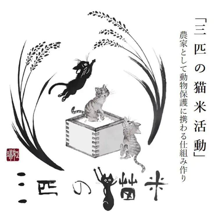 三匹の猫米/動物保護に携われる/特別栽培米 2kg×2