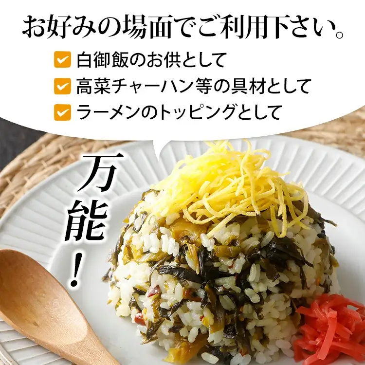 辛子高菜 240g×1パック 山賊の高菜