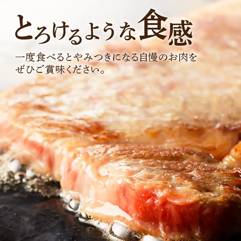 黒毛和牛サーロインステーキ K189-005 肉 牛肉 冷凍