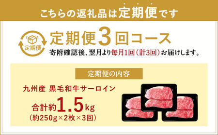 【3ヶ月定期便】 九州産 黒毛和牛 サーロインステーキ 合計約1.5kg (約250g×2枚×3回) 牛肉 国産 ステーキ サーロイン 牛肉 お肉 国産 日本産