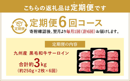 【6ヶ月定期便】 九州産 黒毛和牛 サーロインステーキ 合計約3kg (約250g×2枚×6回) 牛肉 国産 ステーキ サーロイン 牛肉 お肉 国産 日本産