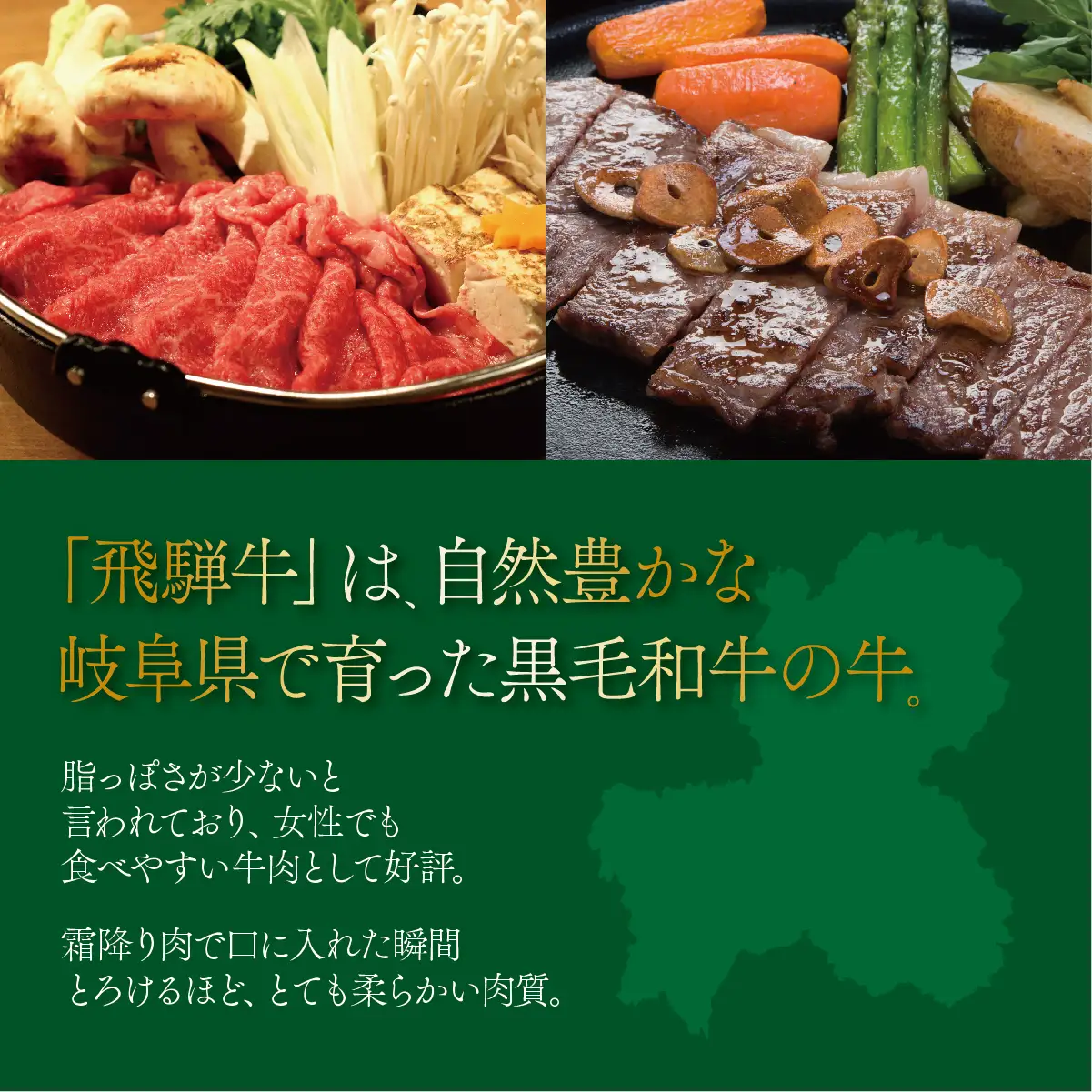 A5 飛騨牛 赤身 サンカクバラ 焼肉セット 計700ｇ｜岐阜県産 国産 黒毛和牛 ブランド牛 モモ肉 カタ肉 霜降り 冷凍 贅沢 高級肉 バーベキュー お歳暮 お中元 ギフト プレゼント おすすめ トキノ屋食品