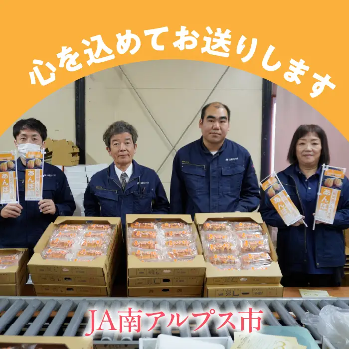 ＜2026年発送先行＞あんぽ柿【百目柿】［1個入り×12パック］ ALPAA019